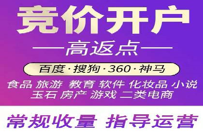 谷歌竞价案例：跨境电商广告投放策略